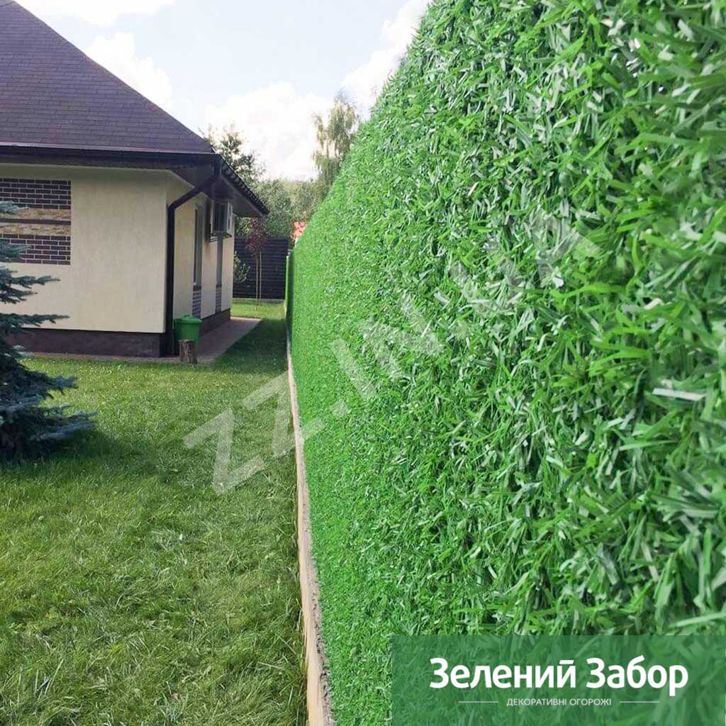 Зелена Огорожа, Зелений Паркан, Зелений Забор