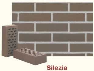 Silesja