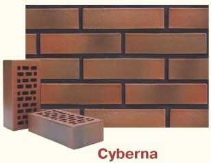 Cyberna
