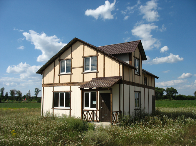 Дома в с. Тарасовка